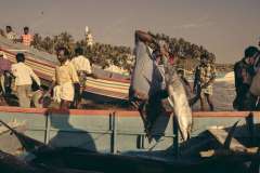 pescadores_de_vizhinjam13